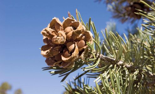 T & R Propane Station Gallup