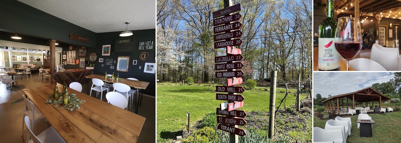 Buccia Vineyard Winery and B&B