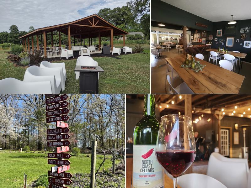 Buccia Vineyard Winery and B&B