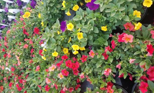 Hillcrest Growers Verden