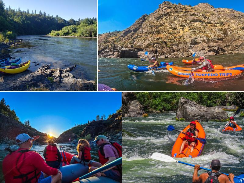 Orange Torpedo Trips