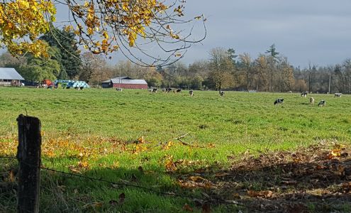 Austin Dairy 320 Elma Gate Rd E, Oakville Washington 98568