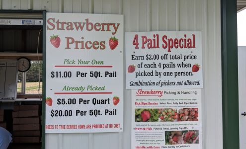 Arnold's Strawberries Rudolph