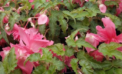 Hidden View Acres 4302 Blue Jay Ln, Edgar Wisconsin 54426