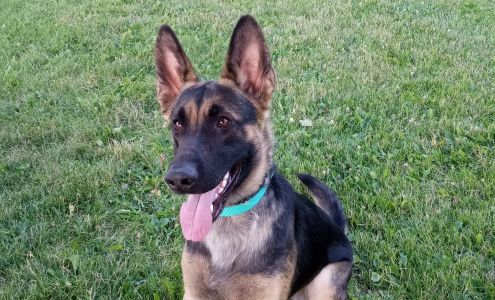 Naches Swimming Pool Naches