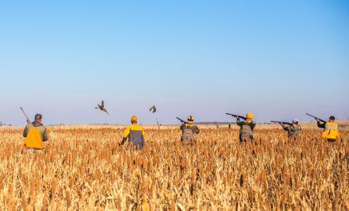 DeBoer's Pheasant Ranch, LLC Stickney