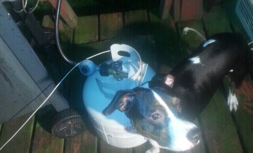 Lakeside Park Beverage Barnesville