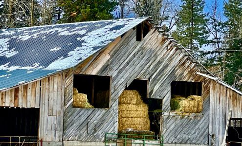 Kelly's Trout Creek Inn Bed Trout Lake