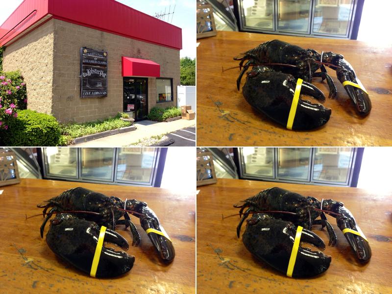 Lobster Pot - Fresh Lobsters