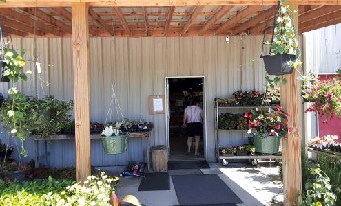 D and D Outlet Store Russellville