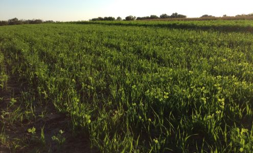 Sogn Valley Farm 4830 360th St, Cannon Falls Minnesota 55009