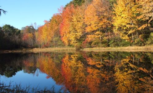 Autumn Morning Farm Beekeeping Supplies 658 Sunrise Ave, Barre Massachusetts 01005