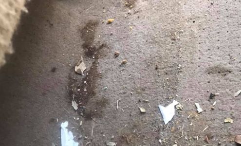 Smith Auto Repair & Detailing Pauls Valley