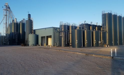 Biegertt Feeds Bradshaw