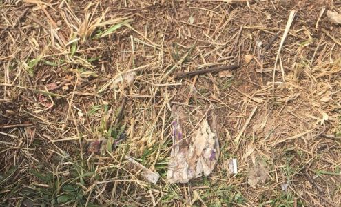 ATM (Wild Bill's Travel Center) Ridgedale