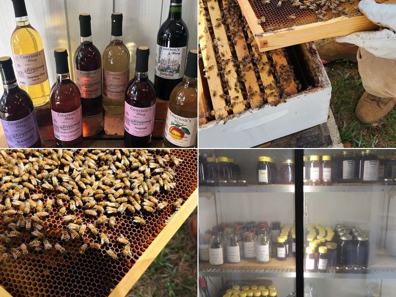 Courson's Winery 2623 GA-22, Sparta