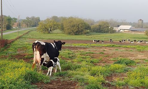 Walker & Sons Farm Inc II 2349 Ashville Hwy, Monticello Florida 32344