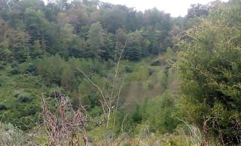 Cornettsville Fire Department Cornettsville