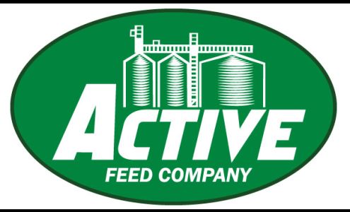 Active Feed Co Pigeon