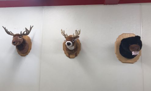 Michelle's Custom Cutting