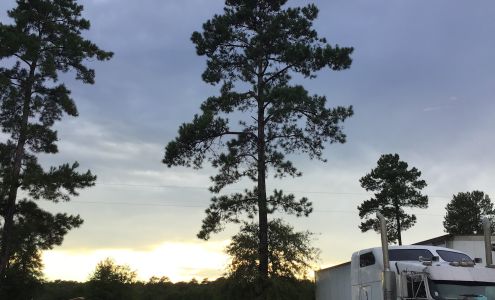 San Jacinto Truck Service 1711 FM 3460, Shepherd Texas 77371