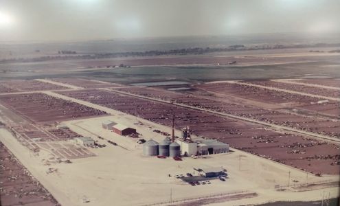 Syracuse Feed Yards Syracuse