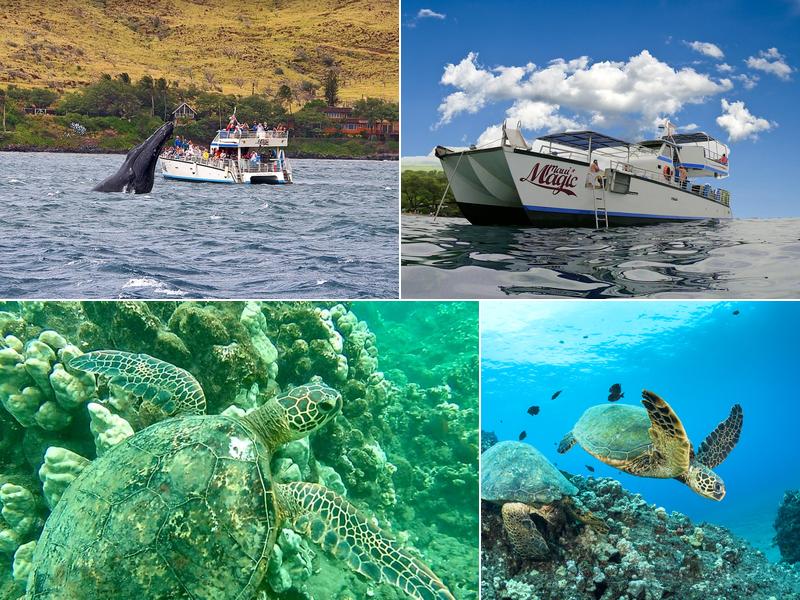 Maui Magic Molokini Snorkel Tour