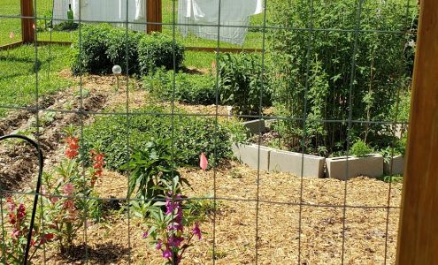 Francis Flowers & Herbs Farm Lexington