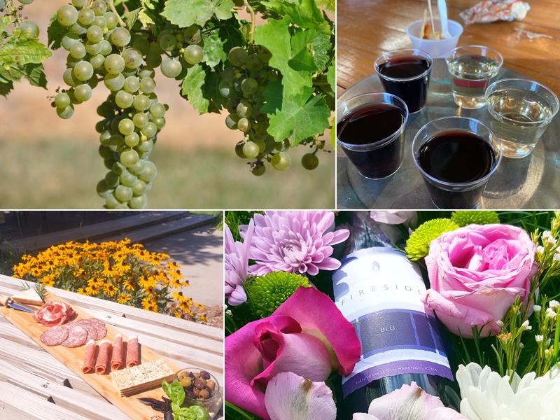 Fireside Winery 1755 P Ave, Marengo