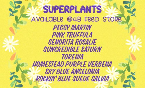 4B FEED STORE Oak Grove