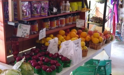 Corner Market & Nursery 100 W Main St, Oak Grove Louisiana 71263