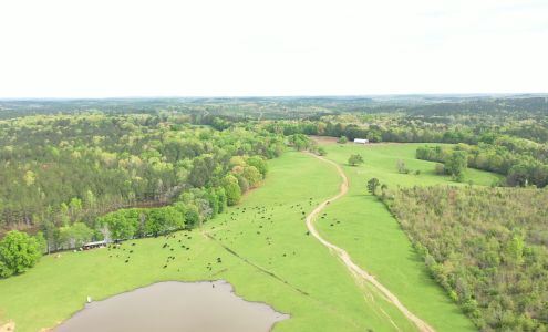 Gen 5 HomeGrown Beef