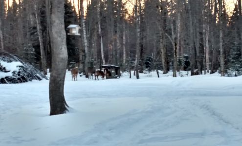 S-ADZ Dryer Vent Cleaning & Air Duct Cleaning Services Pittsburg, NH 229 Rabbit Run Rd, Pittsburg New Hampshire 03592