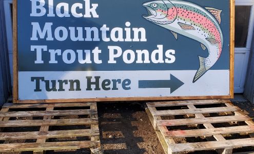 Black Mountain Trout Ponds and Fishing Shack Suches