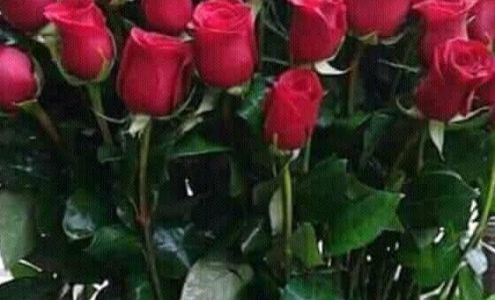 MLC Market & Deli Bridgeport