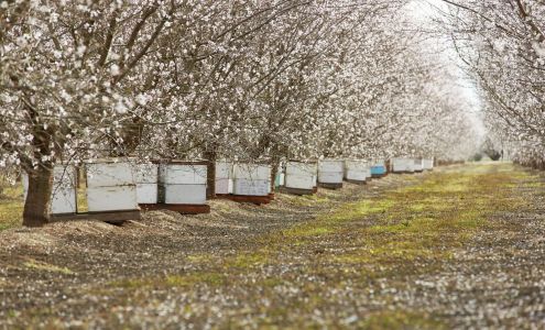 Zeigler Honey Co Stockton