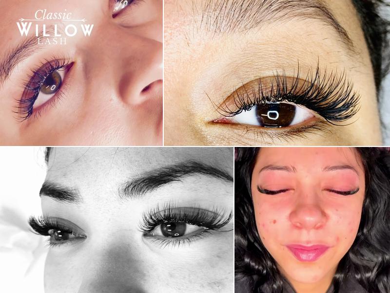 Willow Lash Studio