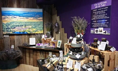 Pelindaba Lavender Sarasota