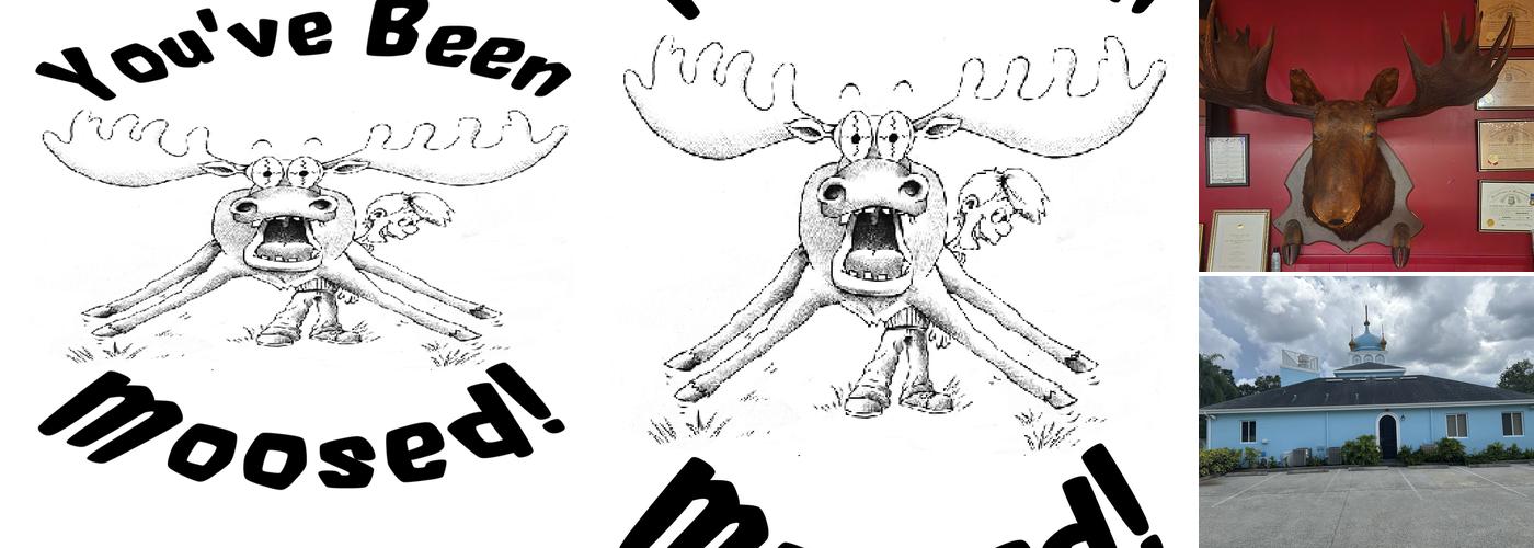 St. Petersburg Moose 1145