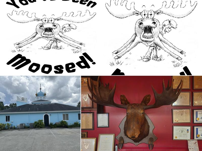 St. Petersburg Moose 1145