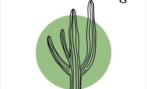 Cactus Detailing St. George