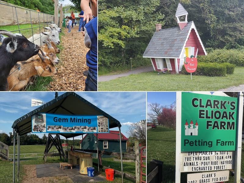 Clark's Elioak Farm