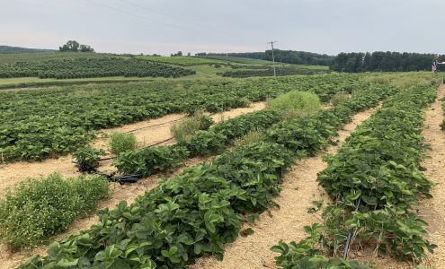 Shaw Orchards White Hall