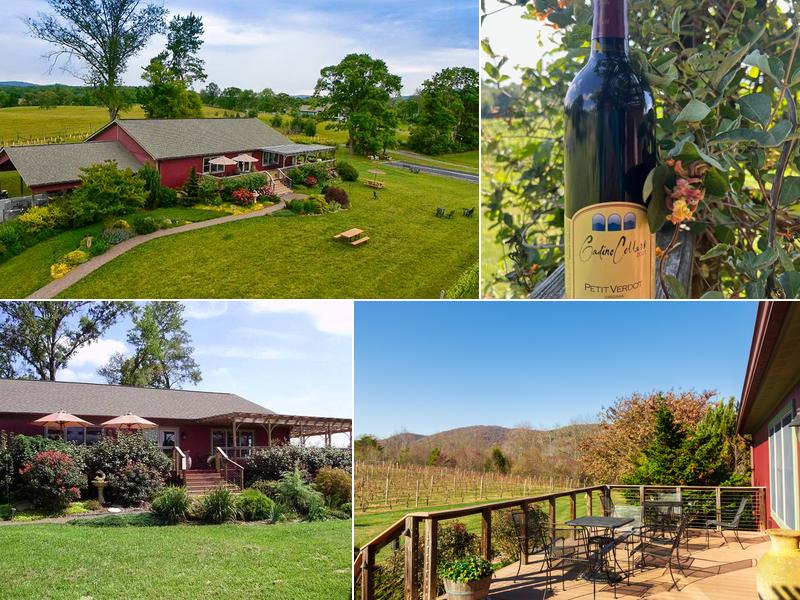 Gadino Cellars 92 School House Rd, Washington