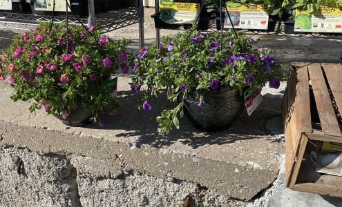 Sarcoxie Feed & Farm Supply Sarcoxie