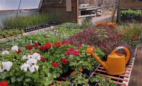 Steele's Nursery 13703 260th Pl, Isle Minnesota 56342