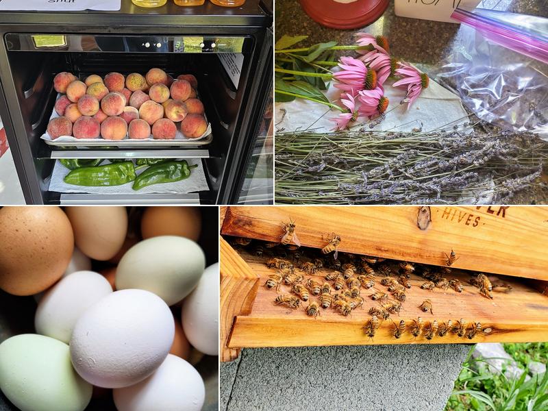 Wachusett Farm and Homestead