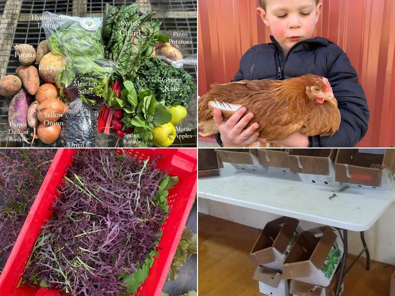 StillLife Fruit Farm
