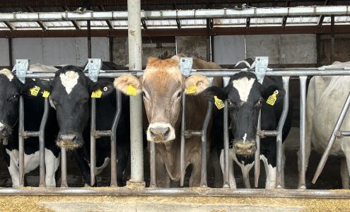 Country Morning Farms 223 N County Rd, Warden Washington 98857