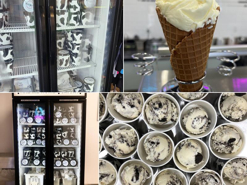 Motley Moo Creamery